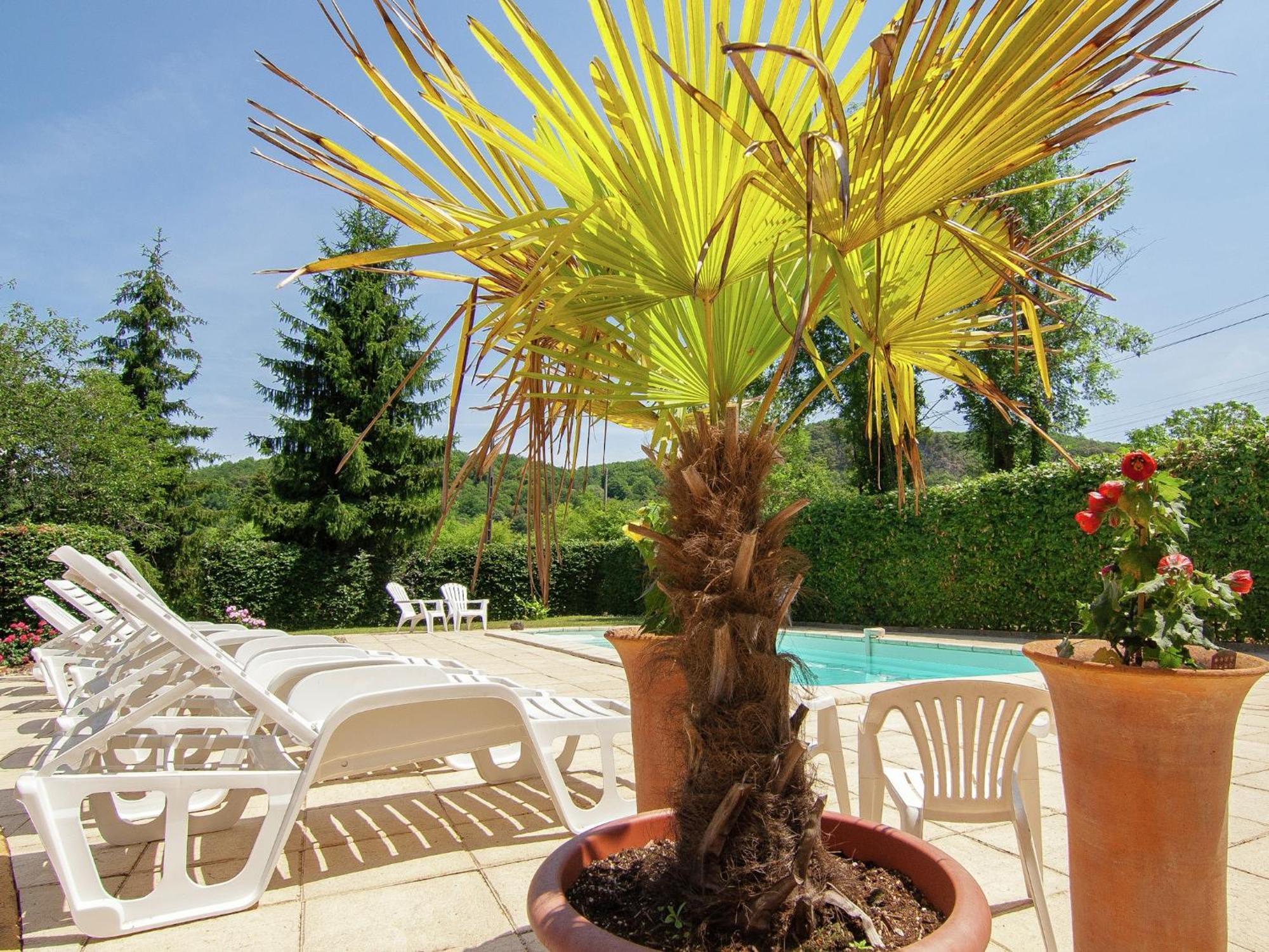 Appealing Apartment In Vezac With Swimming Pool Beynac-et-Cazenac Exterior foto